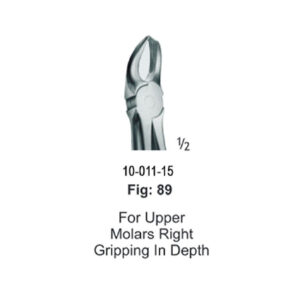 for Upper Molars Right Gripping In Depth